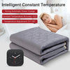 Car Electric Heated Blanket