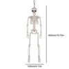 35.4/15.7 Inches Movable Joint Skeleton Halloween Decor – Perfect for Haunted House Accessories