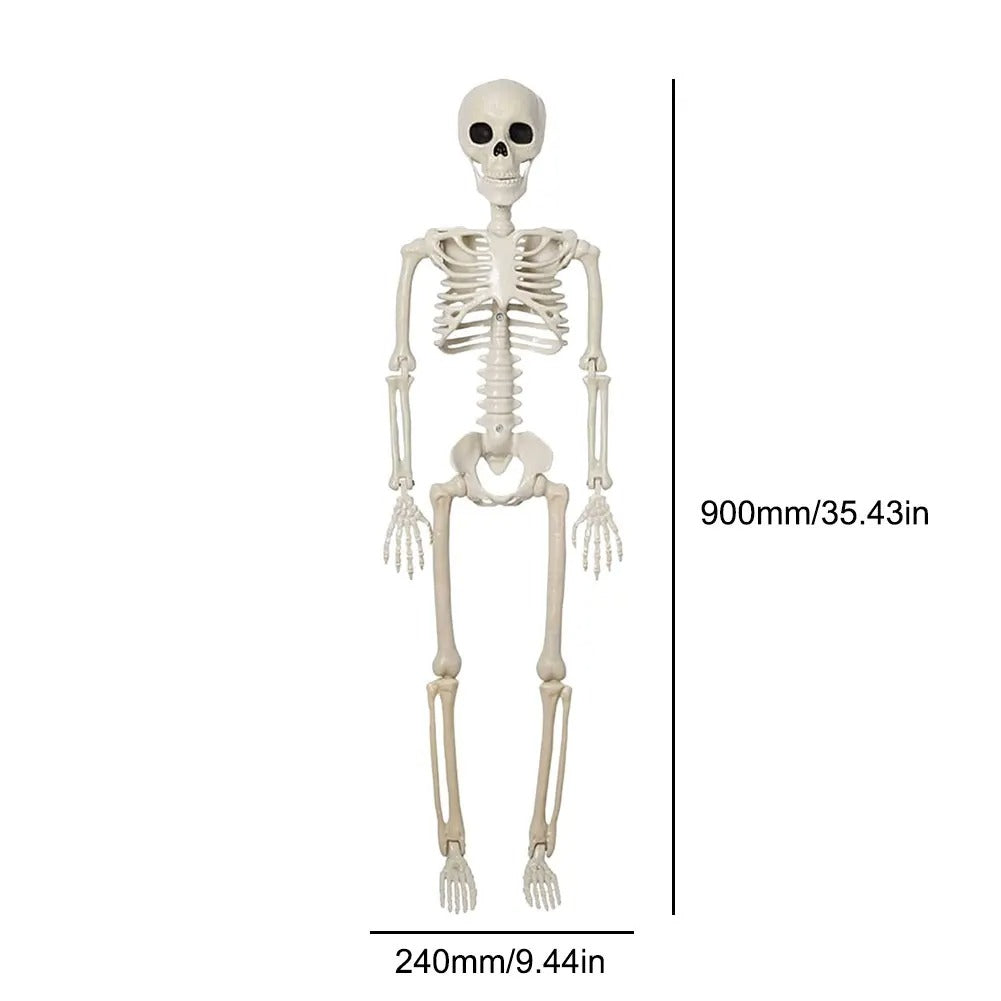 35.4/15.7 Inches Movable Joint Skeleton Halloween Decor – Perfect for Haunted House Accessories