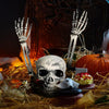 Realistic Halloween Skeleton Stakes – Skull Head & Arms Decorations for Outdoor Yard, Lawn, & Graveyard Party Supplies